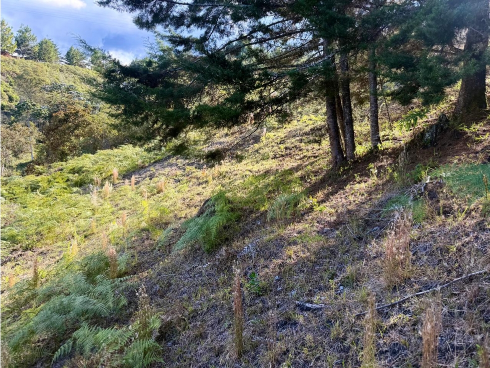 VENDO LOTE EN PARCELACION MIRADOR DE LA CEJA — foto 6