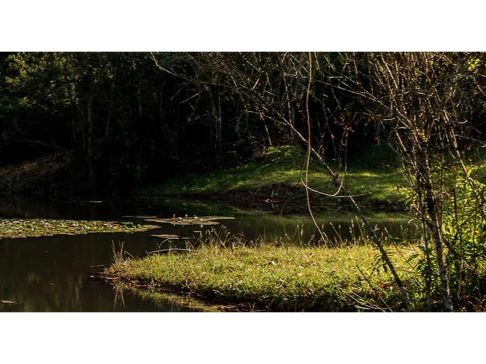 VENDO LOTE DE TERRERO EN MONTE SERENO