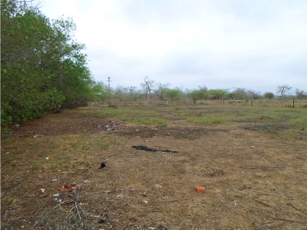 Cartagena Venta de Lote Tierra Baja