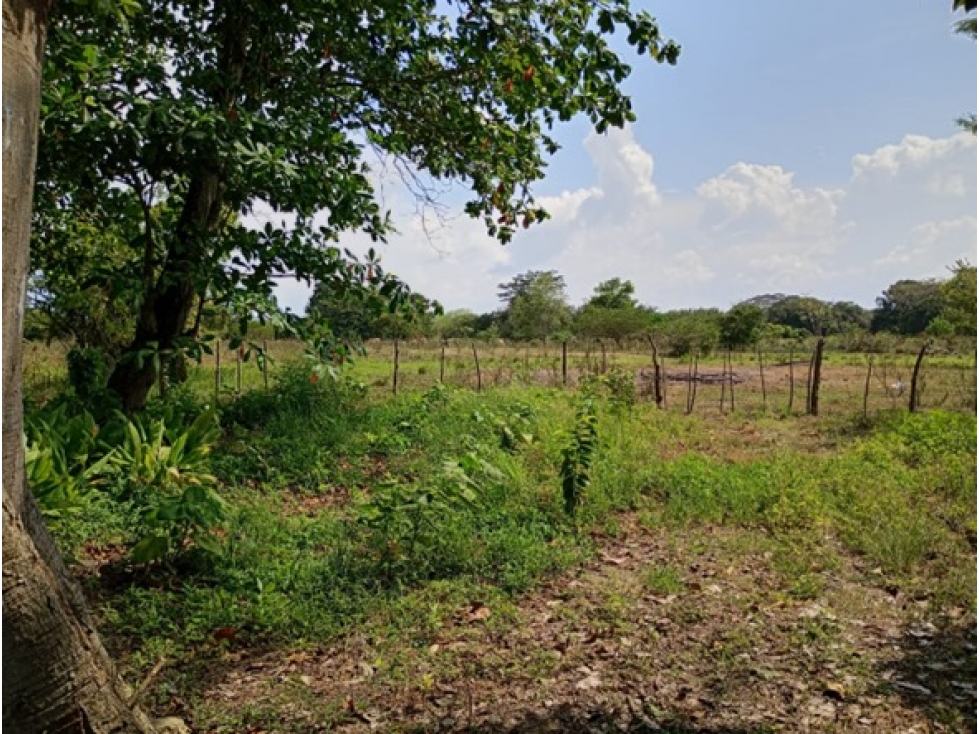 LOTE EN VENTA, ARJONA - CARTAGENA