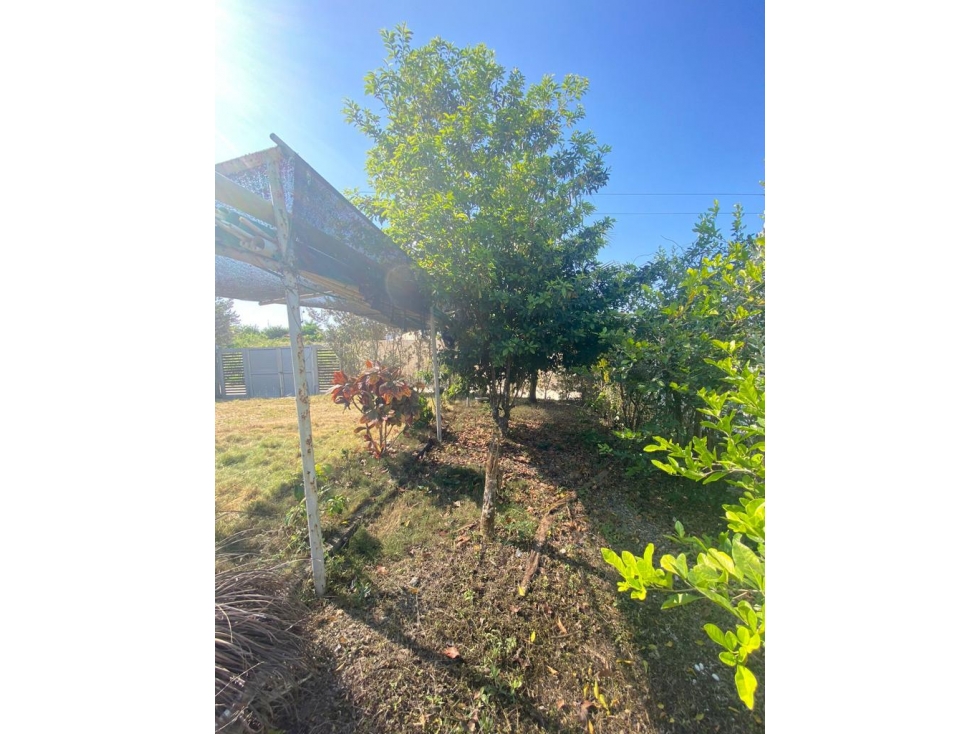FINCA EN VENTA TURBACO - CARTAGENA — foto 6
