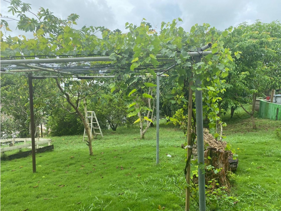 FINCA EN VENTA TURBACO - CARTAGENA — foto 5