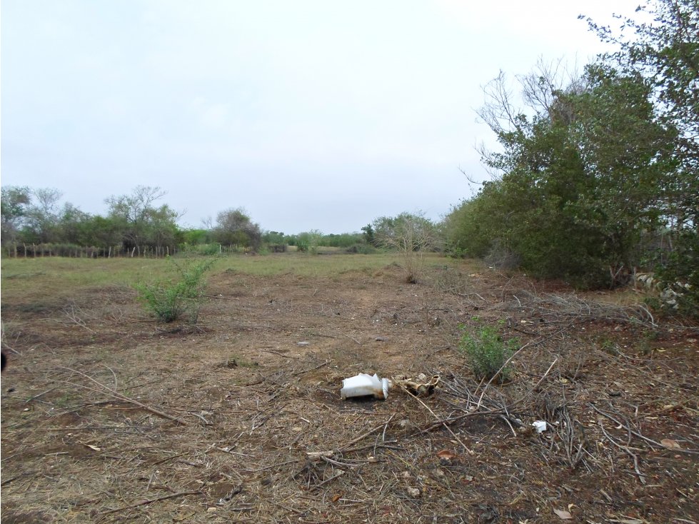 Cartagena Venta de Lote Tierra Baja — foto 2