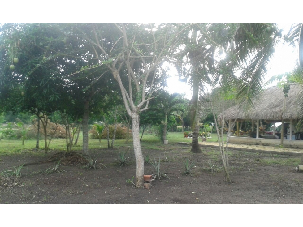LOTE EN VENTA MAMONAL - CARTAGENA — foto 2