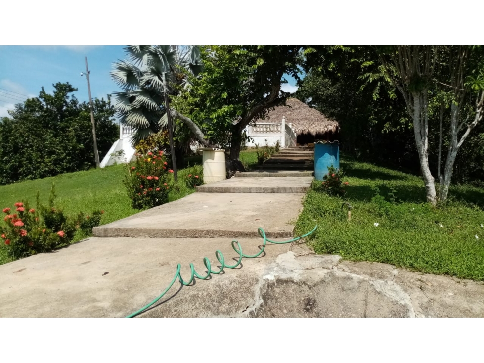 FINCA EN VENTA EN LA CORDIALIDAD - BOLIVAR - 3