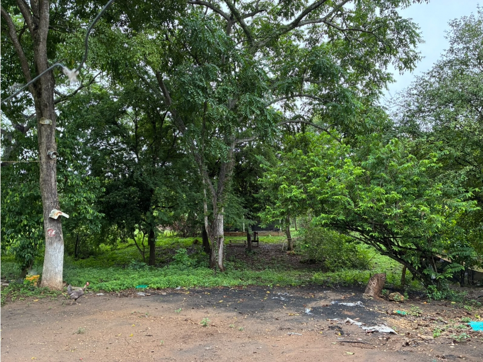 FINCA EN VENTA, GAMBOTE - CARTAGENA — foto 5