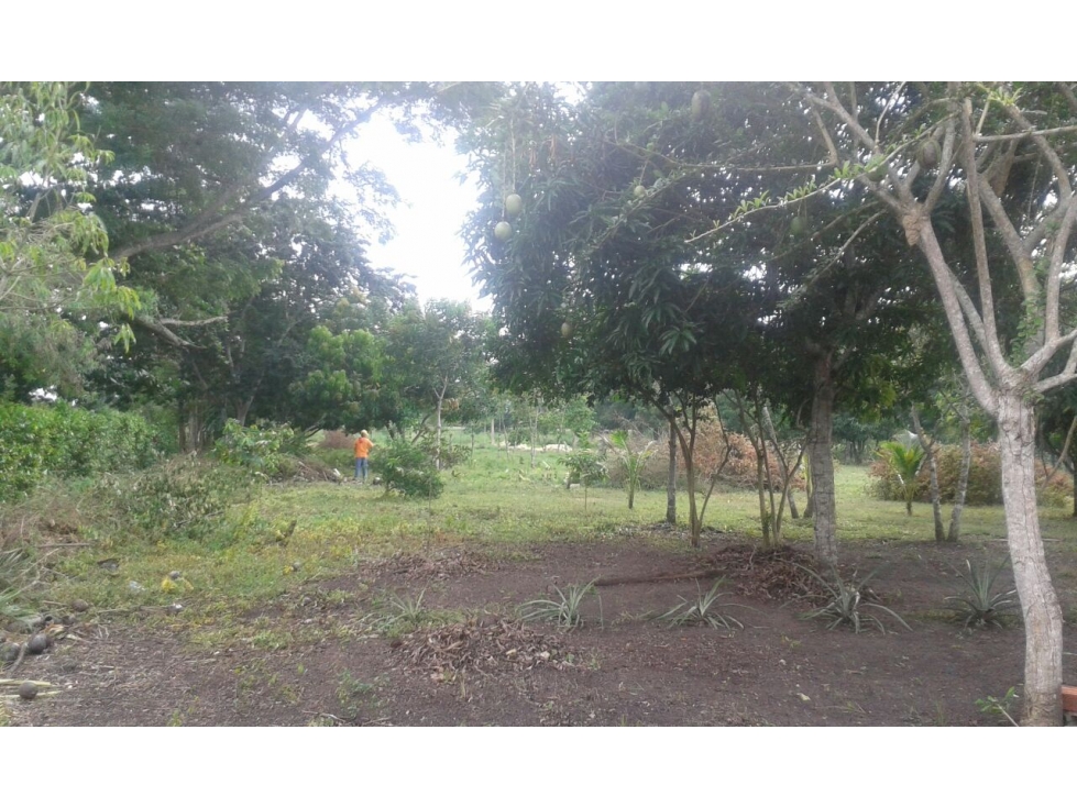 LOTE EN VENTA MAMONAL - CARTAGENA — foto 3