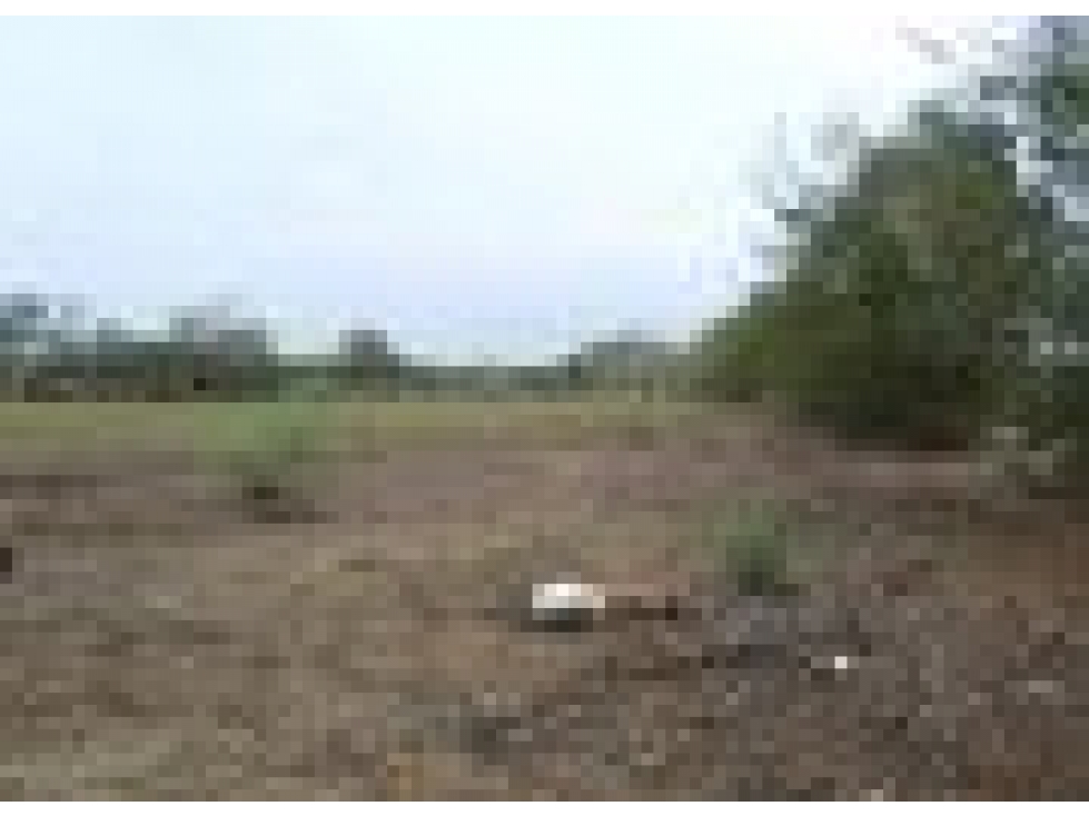 Cartagena Venta de Lote Tierra Baja — foto 3