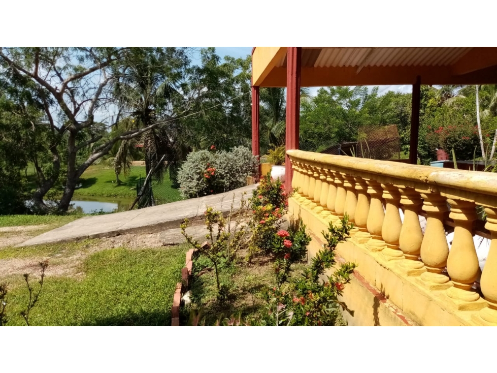 FINCA EN VENTA EN LA CORDIALIDAD - BOLIVAR - 5