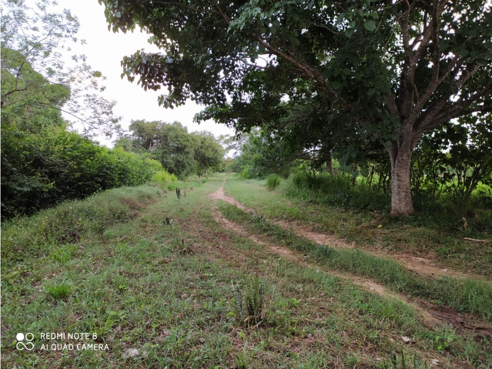 FINCA EN VENTA, GAMBOTE - CARTAGENA - 5
