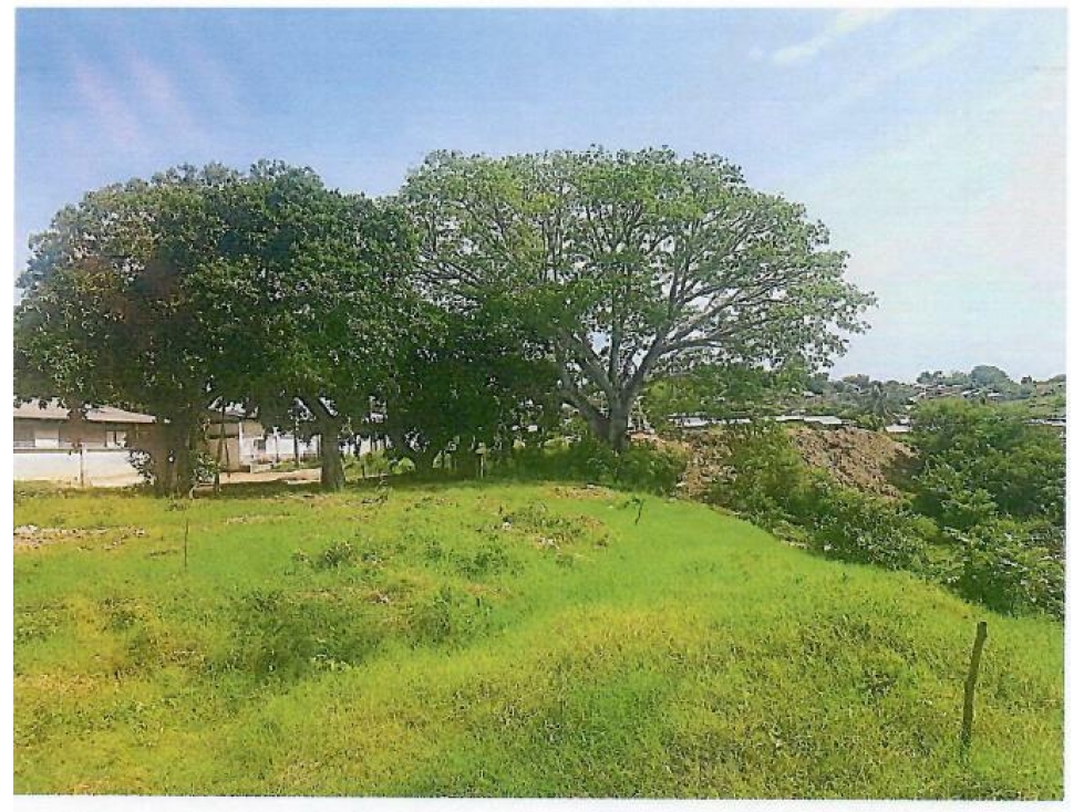 LOTE EN VENTA EL CARMEN - CARTAGENA - 4