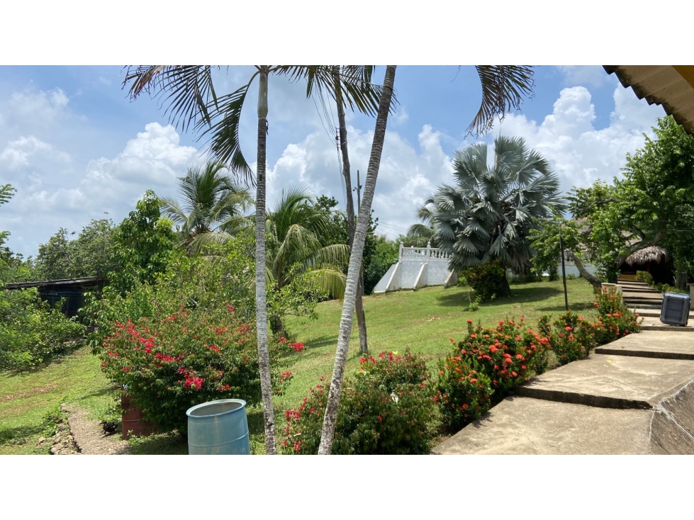 FINCA EN VENTA EN LA CORDIALIDAD - BOLIVAR - 2