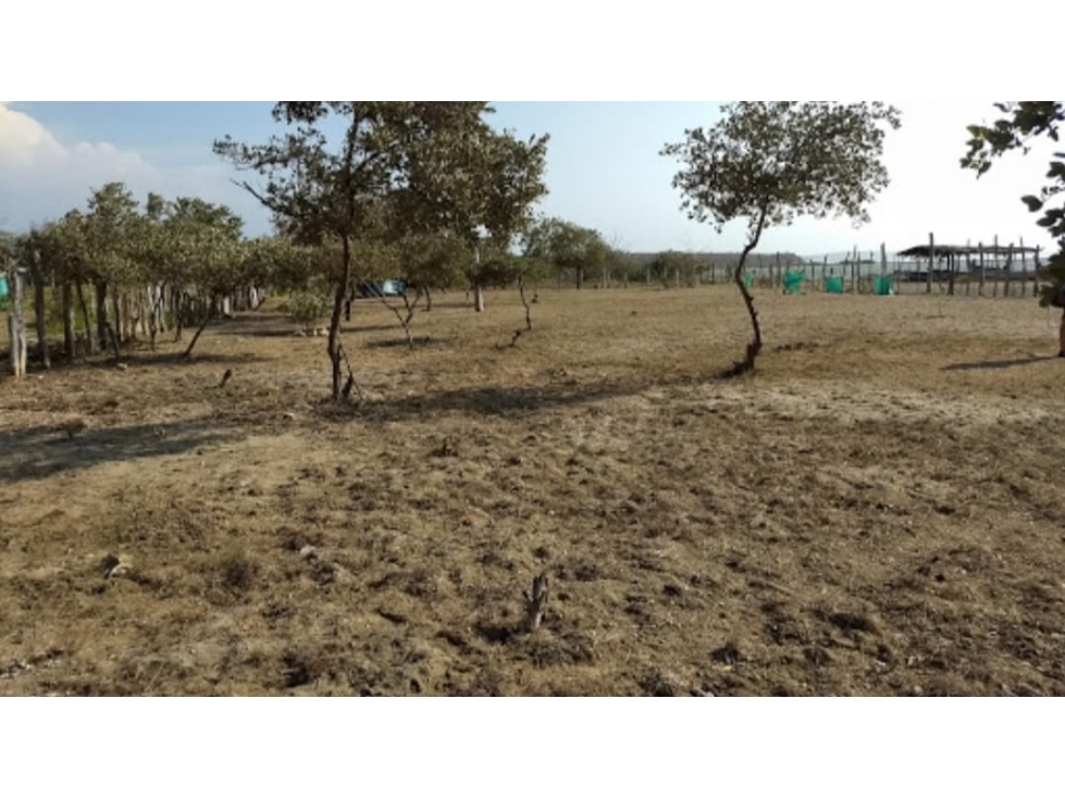 VENTA DE LOTE EN LOMITA ARENA - CARTAGENA — foto 5