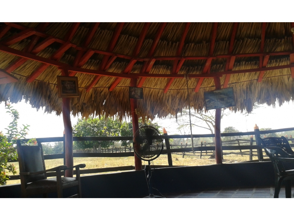FINCA EN ARRIENDO MAHATES - CARTAGENA - 4