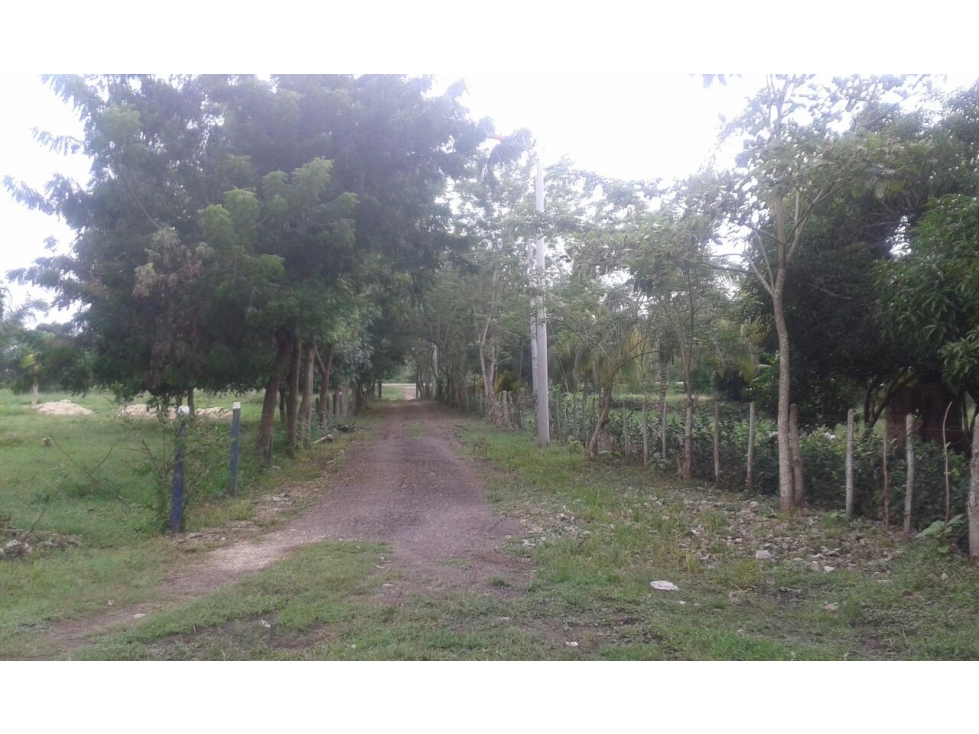 LOTE EN VENTA MAMONAL - CARTAGENA — foto 5