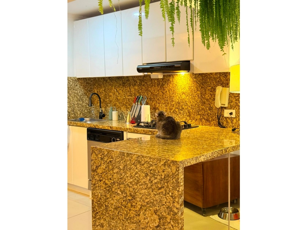 APARTAMENTO EN VENTA MARBELLA-CARTAGENA - 6