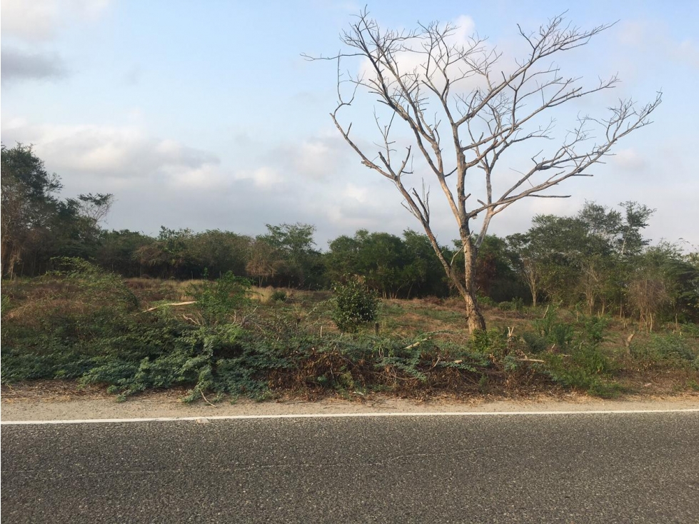 LOTE EN VENTA MANZANILLO — foto 2