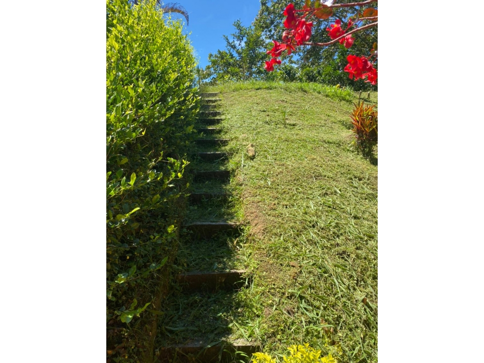 Venta Finca en Fredonia Vereda el cinco - 2