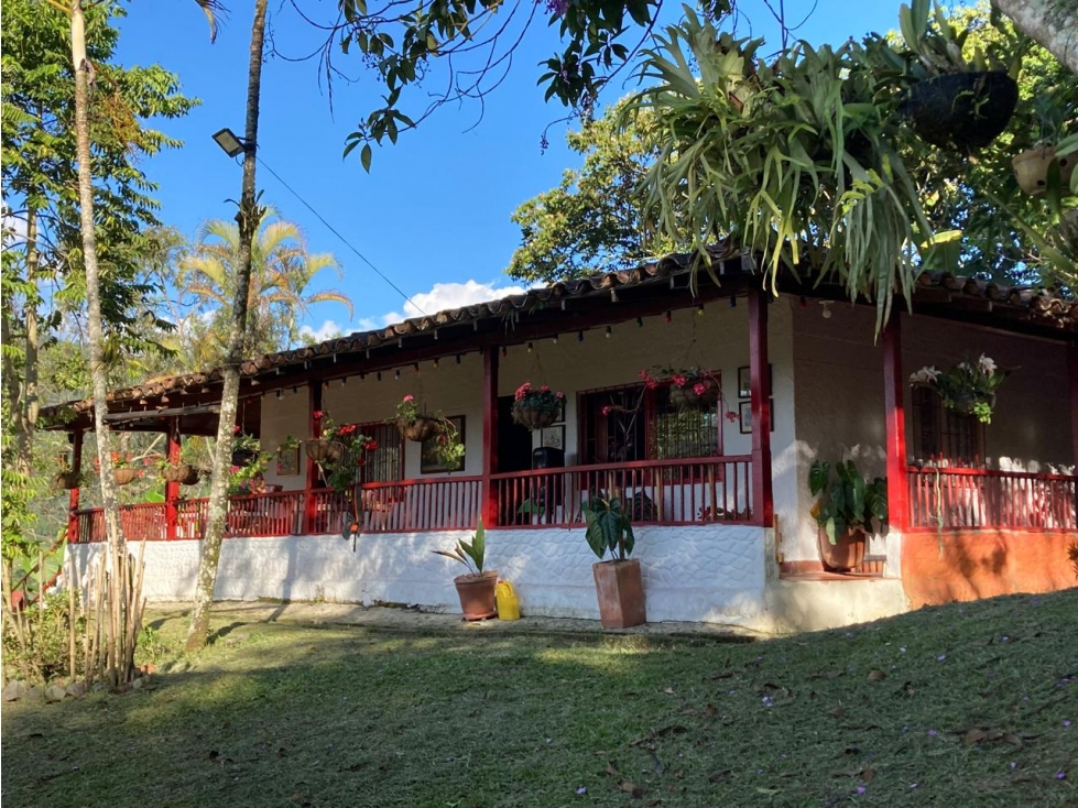 Venta Finca en Fredonia Vereda el cinco - 3