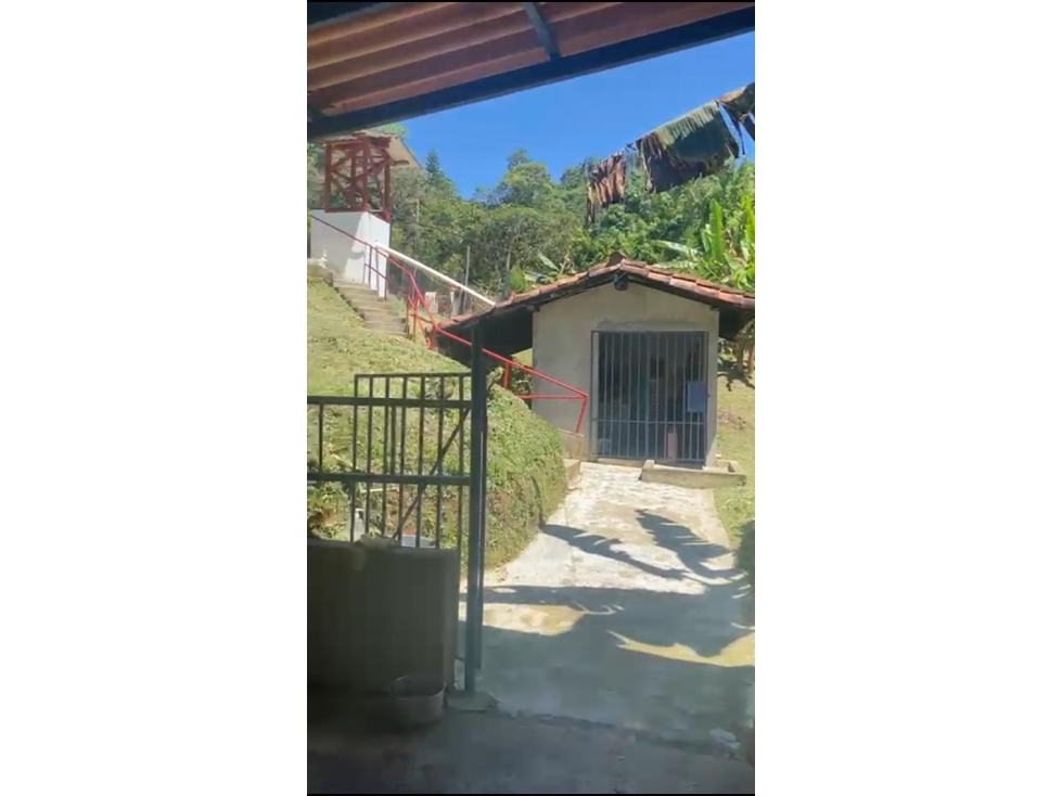 Venta Finca en Fredonia Vereda el cinco - 5
