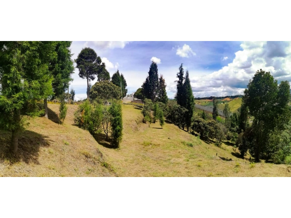 Venta de lote en Guarne Hojas Anchas