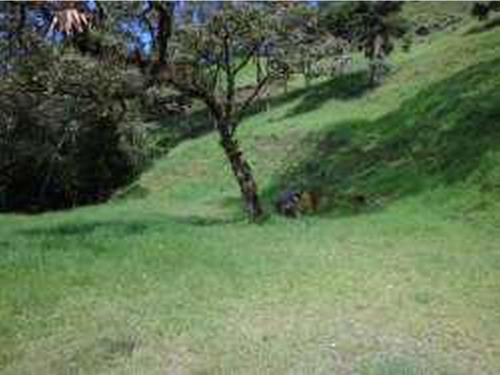 Venta de lote en La loma del escobero, cerca a tiki Bar