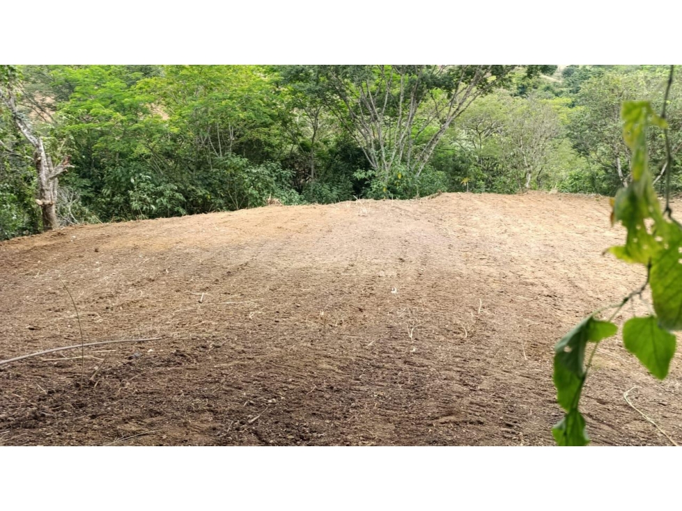 Venta Lote en San Jeronimo Palmeras 2 - 4