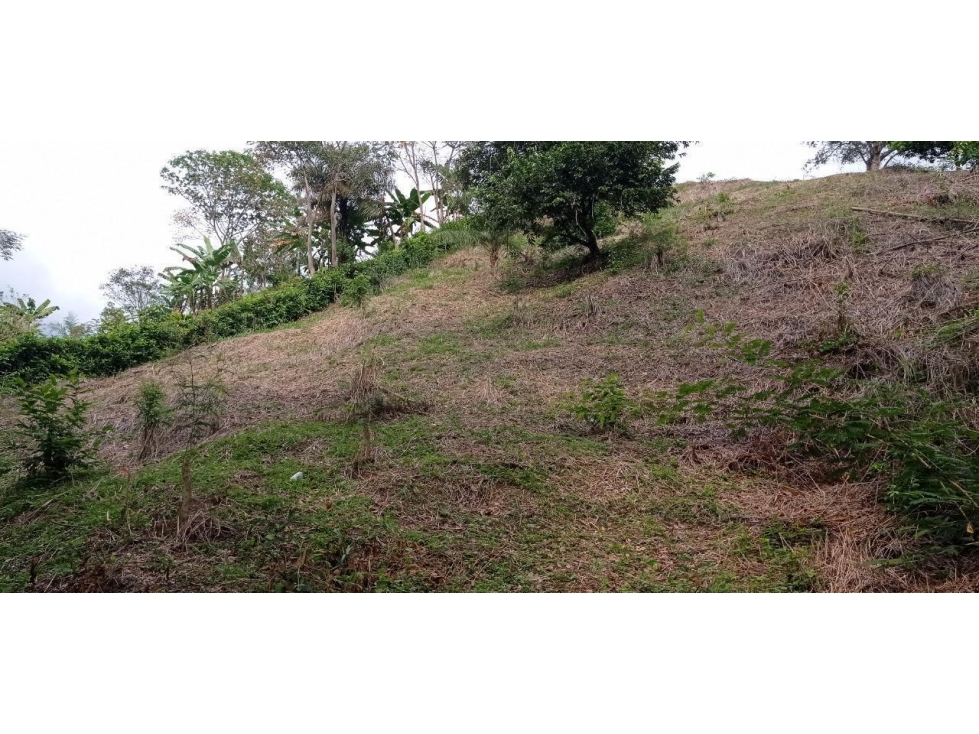 Venta Lote en San Jeronimo Palmeras 2 - 5