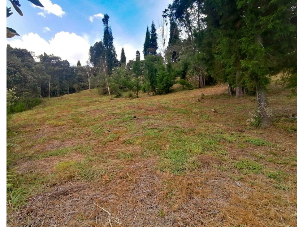 Venta de lote en Guarne Hojas Anchas — foto 5