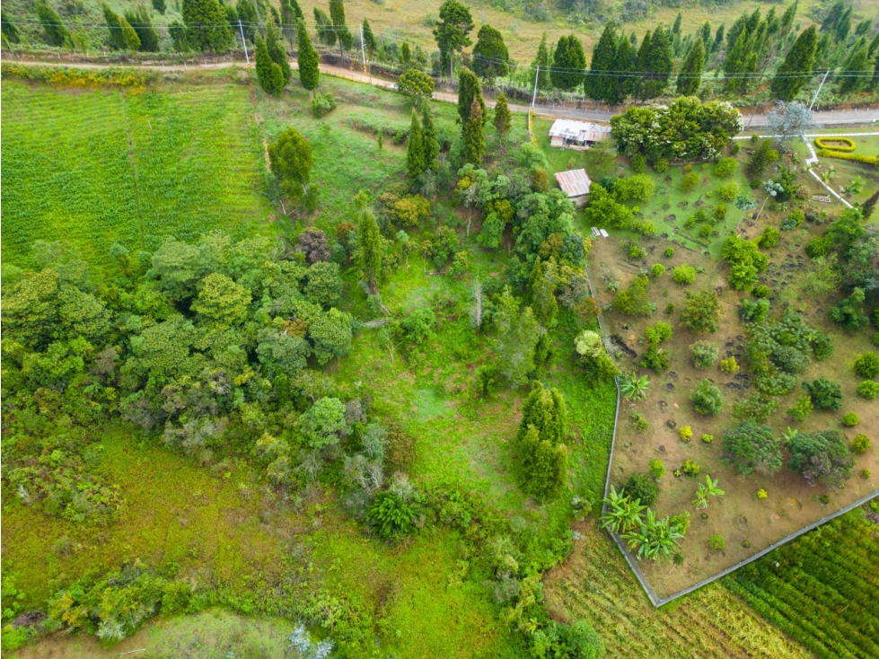 Venta de lote en Guarne Hojas Anchas — foto 6