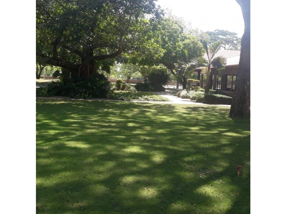VENDE LOTE EN CONJUNTO CAMPESTRE CERRADO EN MONTERIA CORDOBA — foto 2
