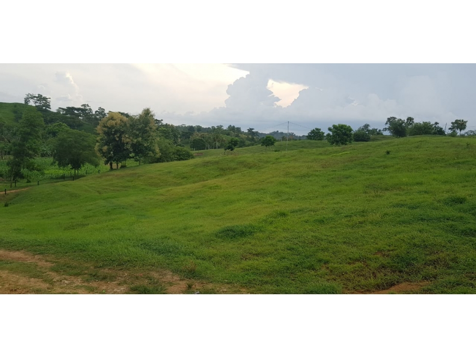 VENDE 96 HECTAREAS ENTRE MONTERIA Y PLANETA RICA