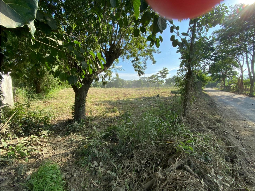 VENDE LOTE DE 5000 METROS VIA LOS PERICOS, EN MONTERIA CORDOBA — foto 2