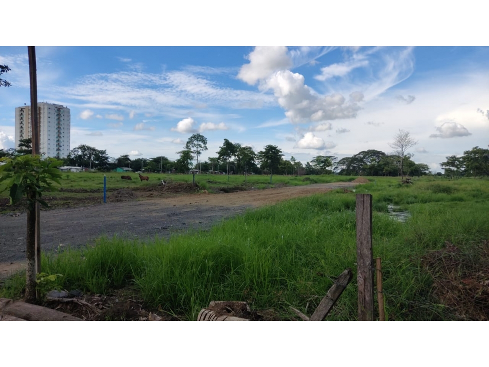 VENDE LOTES FINANCIADOS A 6 MESES CERCA DE MONTEVERDE MONTERIA — foto 2