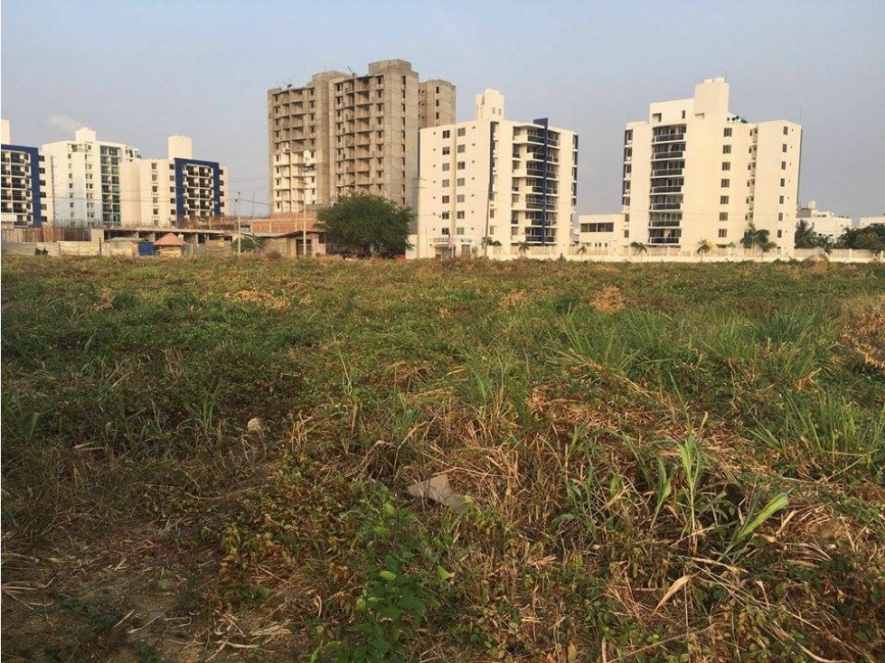 LOTE PARA PROYECTO EN CALIFORNIA 2000M2 — foto 3