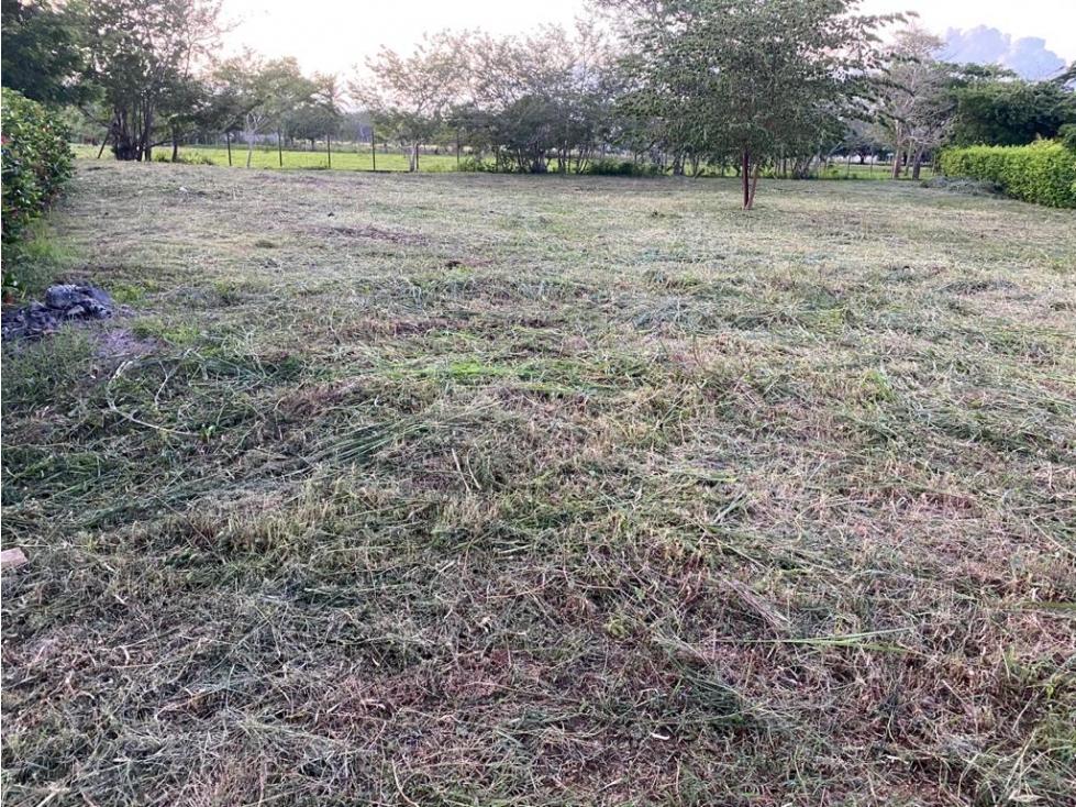 VENDE LOTE CAMPESTRE EN MONTERIA CORDOBA — foto 3