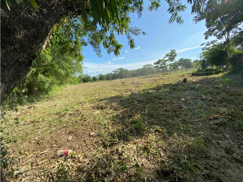 VENDE LOTE DE 5000 METROS VIA LOS PERICOS, EN MONTERIA CORDOBA — foto 3