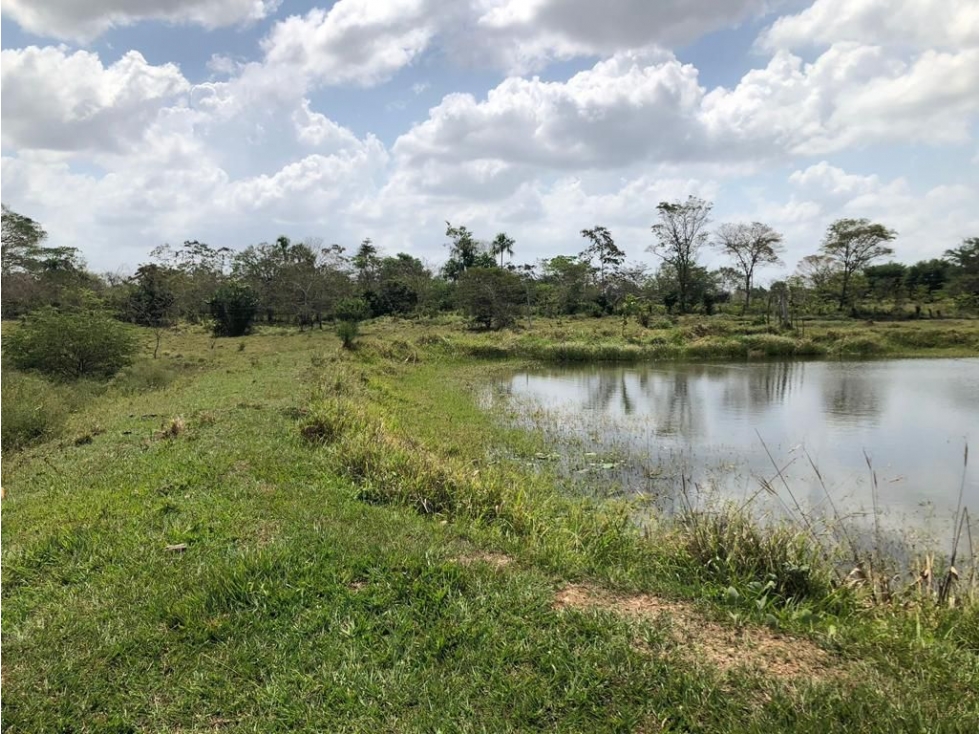 FINCA EN VENTA A 10 MINUTOS DE MONTERIA
