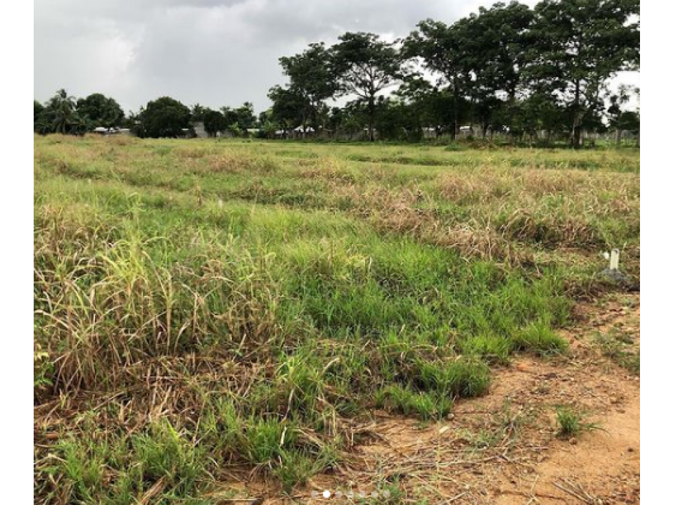 VENDE LOTES EN CERETE CORDOBA NUEVO PROYECTO - 1
