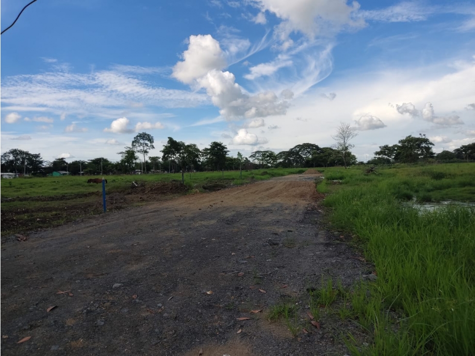 VENDE LOTES FINANCIADOS A 6 MESES CERCA DE MONTEVERDE MONTERIA — foto 3