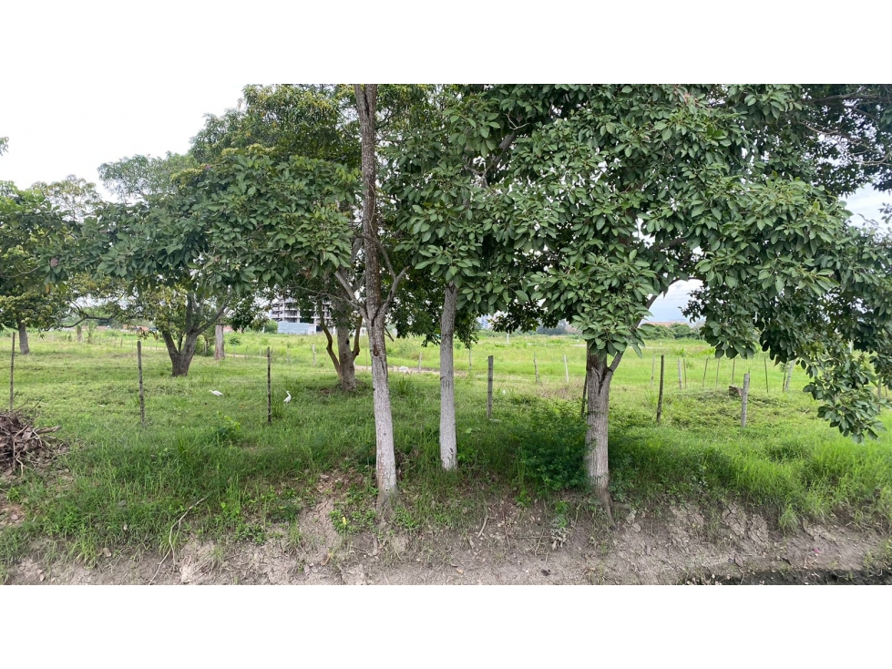 LOTES FRENTE AL NUEVO CENTRO COMERCIAL DE MONTERIA CERCA A PICACHO — foto 4