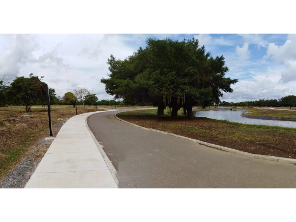 VENDE LOTE EN CONJUNTO CERRADO EN MONTERIA CORDOBA — foto 5