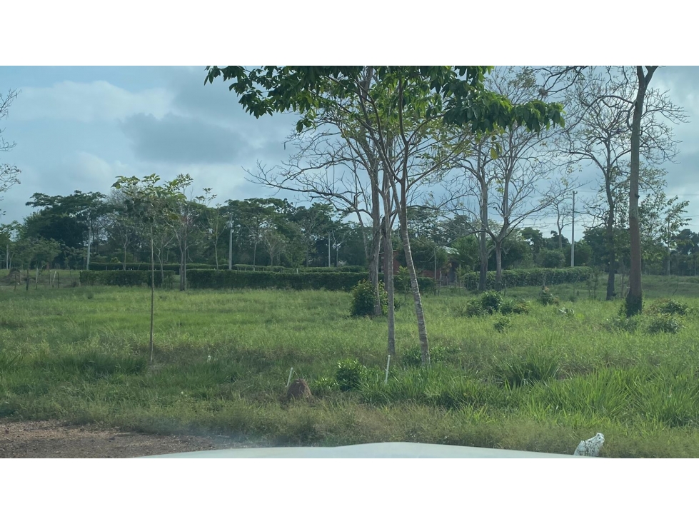 VENDE LOTES VIA A CARRIZAL — foto 2