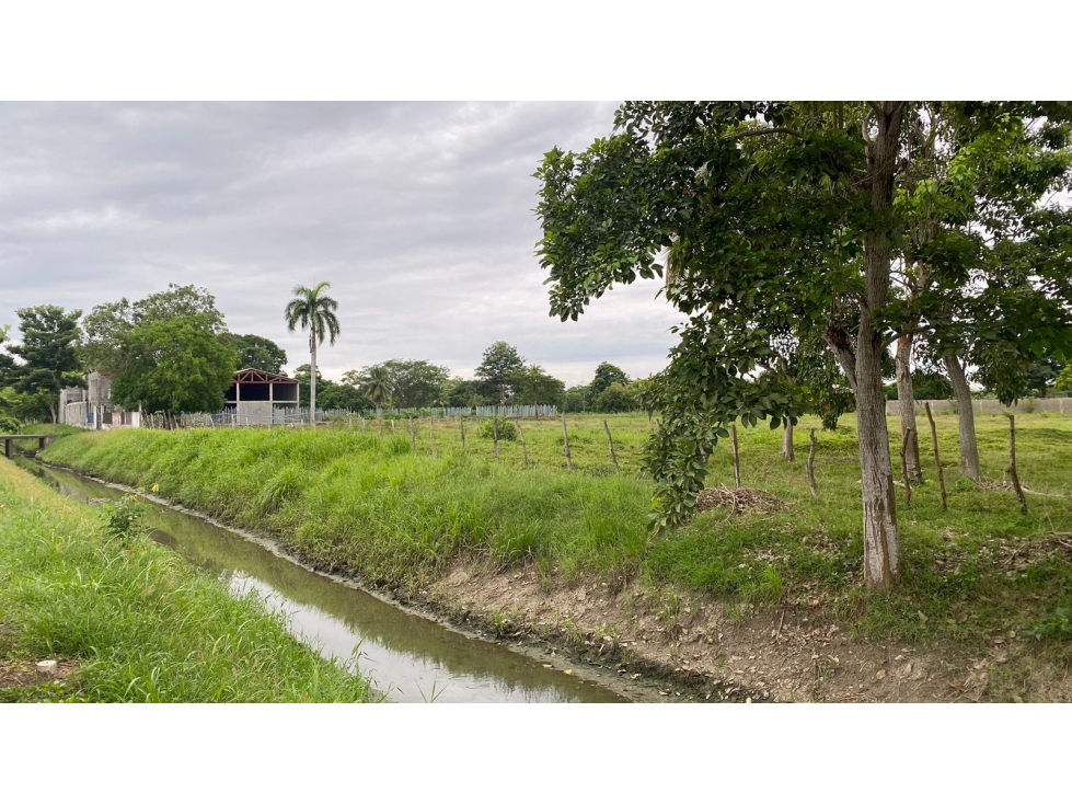 LOTES FRENTE AL NUEVO CENTRO COMERCIAL DE MONTERIA CERCA A PICACHO — foto 6