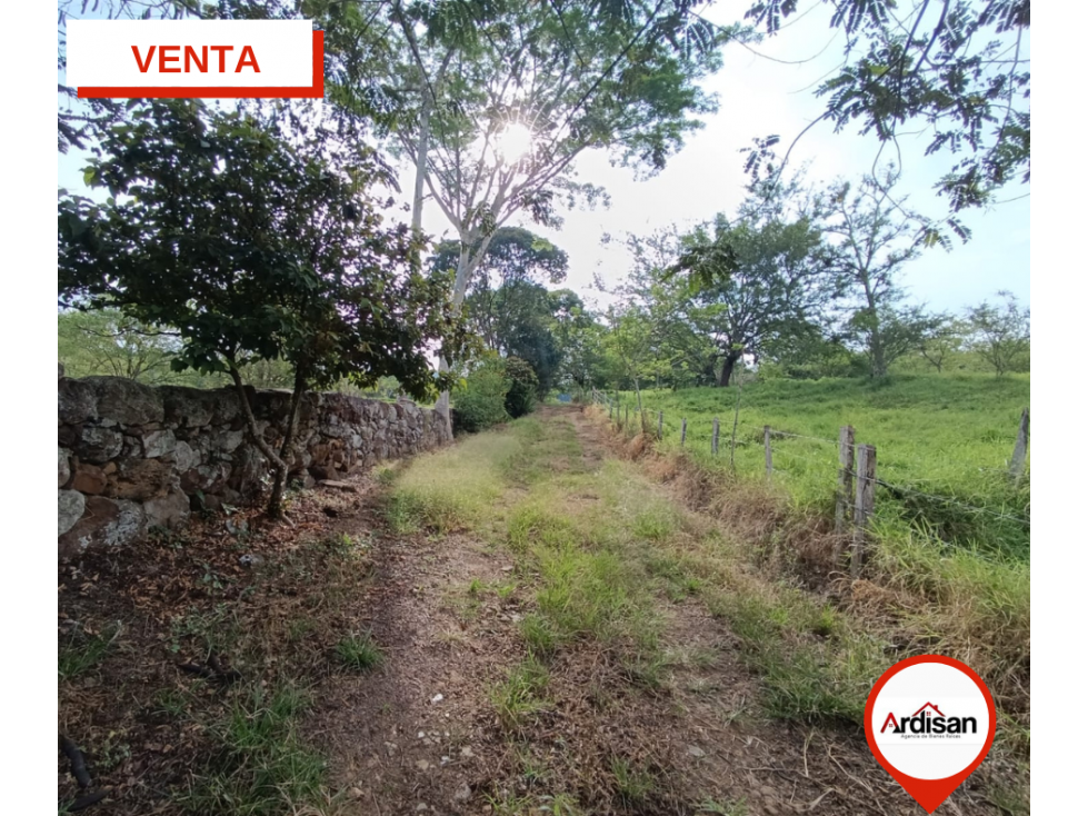 PARCELAS RURALES DE 2.500MTS VIA A SIMACOTA - 5