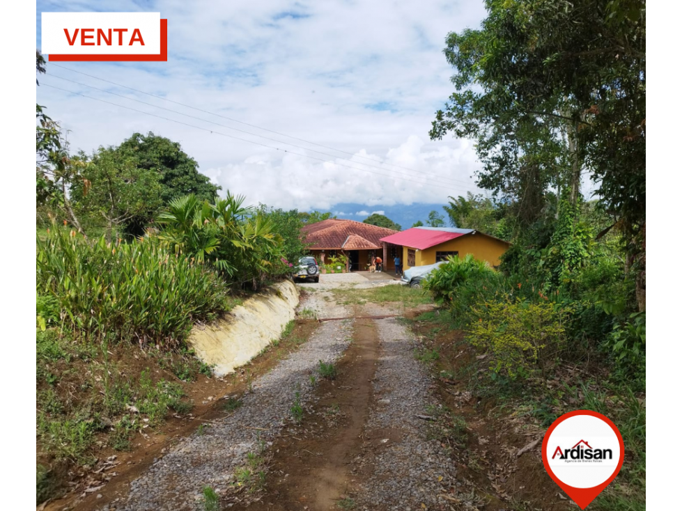 FINCA SEMIPLANA - 2 HECTÁREA 1.211 M2 (556 m2 de construcción) - 3