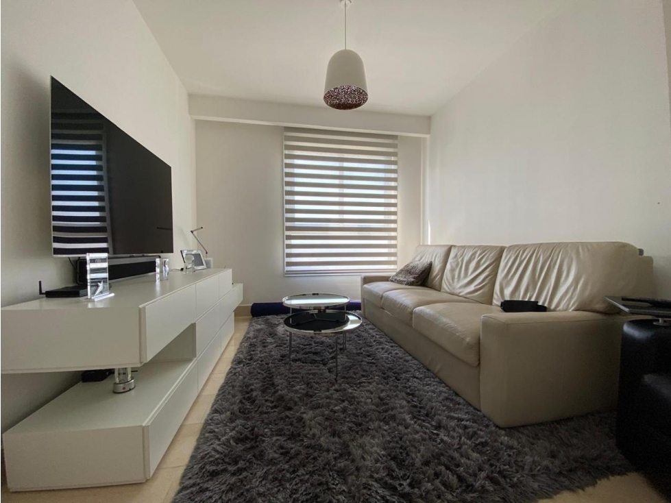 PH GREENVIEW / SANTA MARIA / VENTA — foto 3