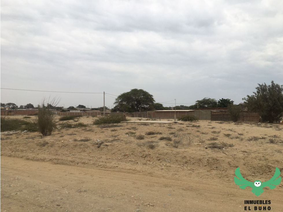 VENDO TERRENO EN LA MARIPOSA, PIURA. — foto 2