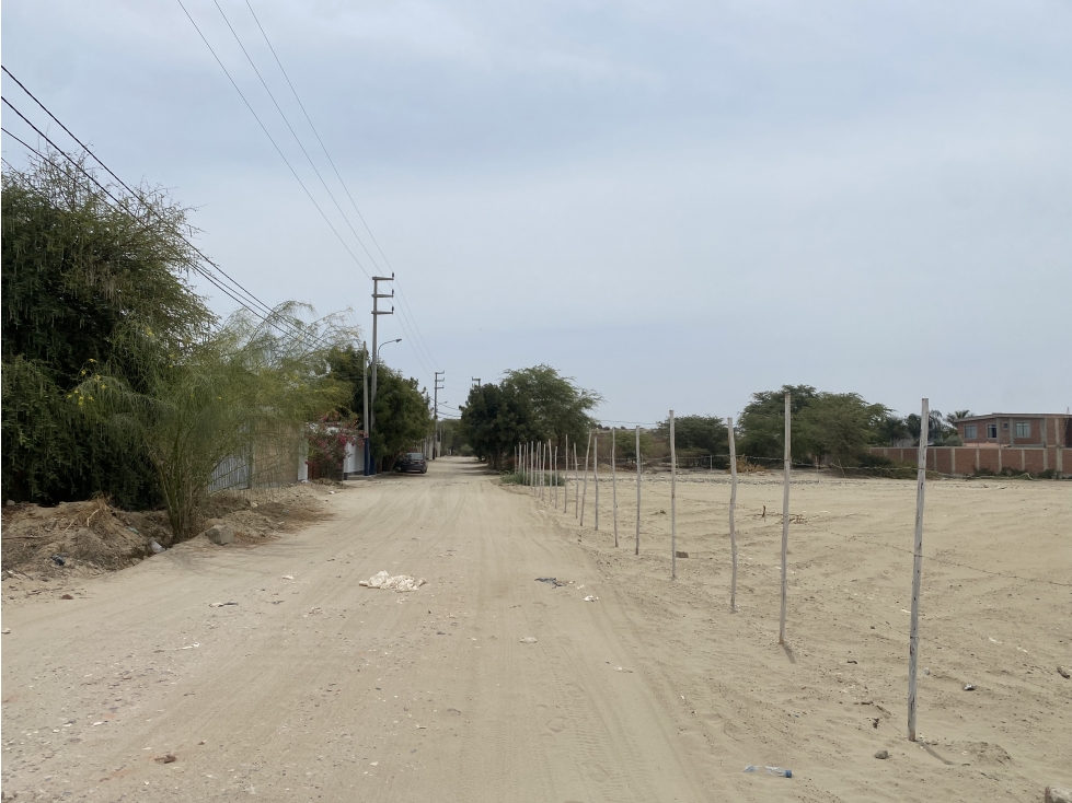 VENDO TERRENO A PRECIO DE OCASIÓN EN EJIDOS DEL NORTE, PIURA - 2