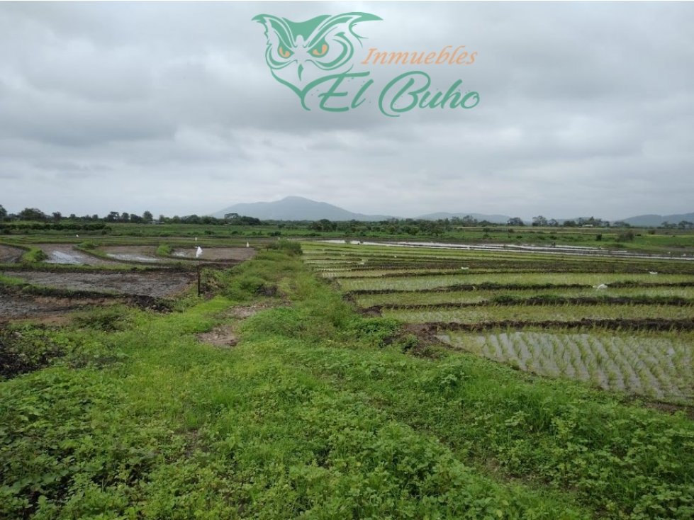 VENDO PARCELA VALLE SAN LORENZO, PIURA - 2